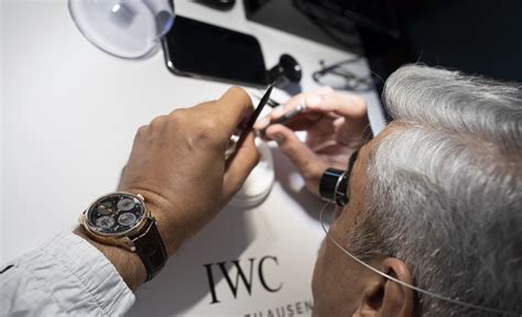 iwc israel|The fine art of watchmaking .